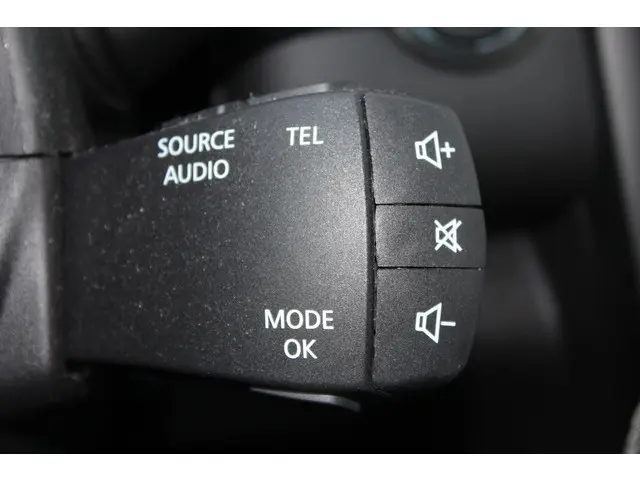 Renault Kadjar 1.3 TCe Intens 2020 Benzine 44