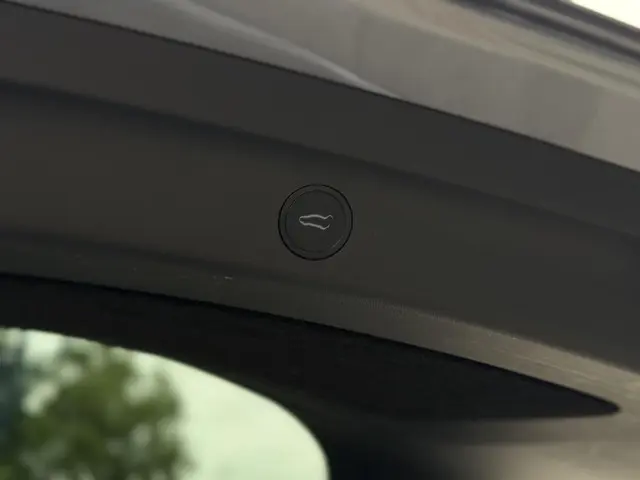 Tesla Model Y Long Range AWD Dual 2023 Elektrisch 18
