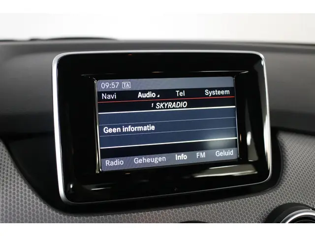 Mercedes-Benz B-Klasse 220 4Matic Ambition 2015 Benzine 22