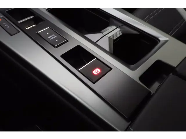 Opel Grandland Electric GS 73 kWh 2025 Elektrisch 31