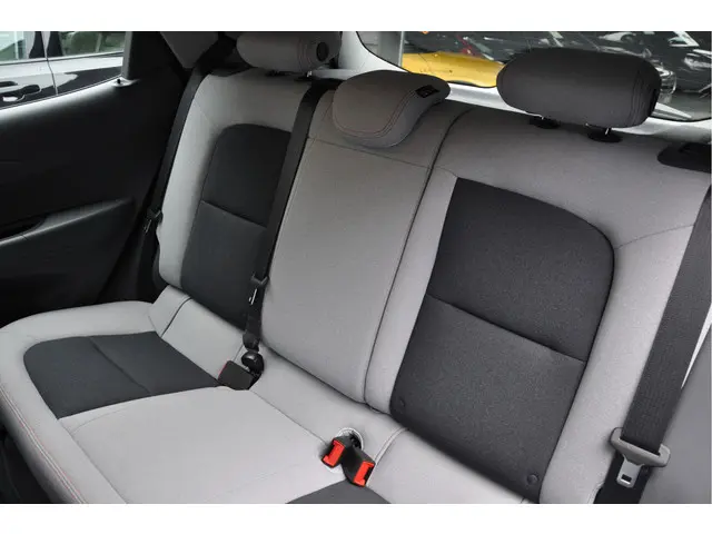 Opel Ampera-e 60 kWh 2020 Elektrisch 11