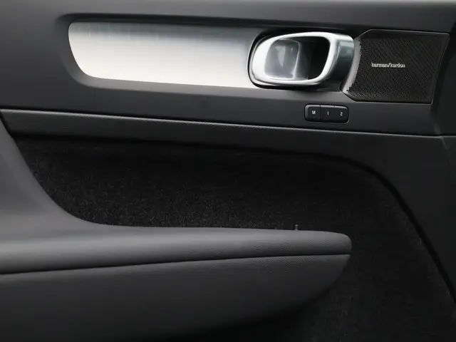 Volvo XC40 2.0 B4 Plus Dark 2024 Benzine 12