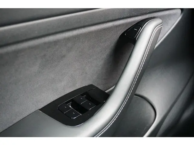 Tesla Model 3 Standard RWD Plus 60 kWh 2020 Elektrisch 15