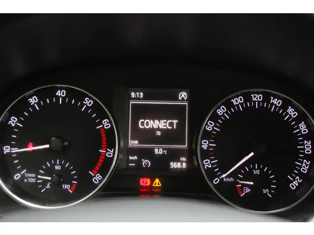 Škoda Fabia 1.2 TSI JOY zeer nette staat 2016 Benzine 19