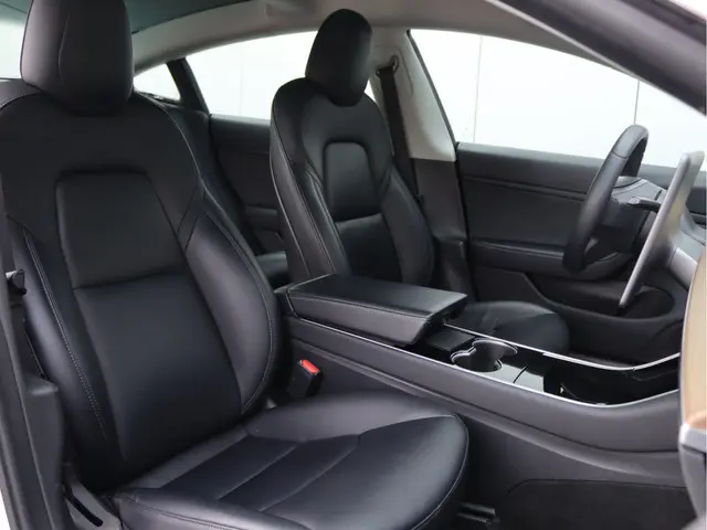 Tesla Model 3 Standard RWD Plus 60 kWh 2019 Elektrisch 20