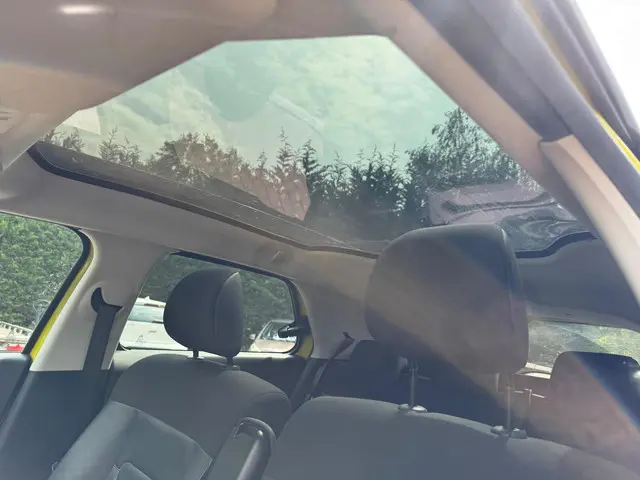 Citroën C4 Cactus 1.6 BlueHDi Business 2015 Diesel 8