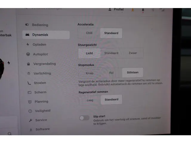 Tesla Model 3 Standard RWD Plus 60 kWh 2019 Elektrisch 29