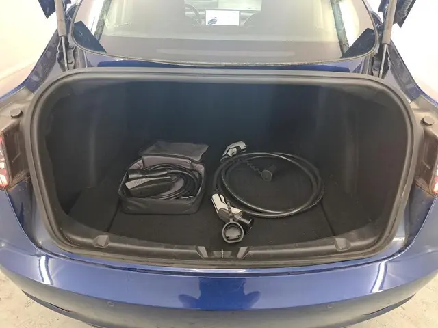 Tesla Model 3 Standard RWD Plus 60 kWh 2020 Elektrisch 11