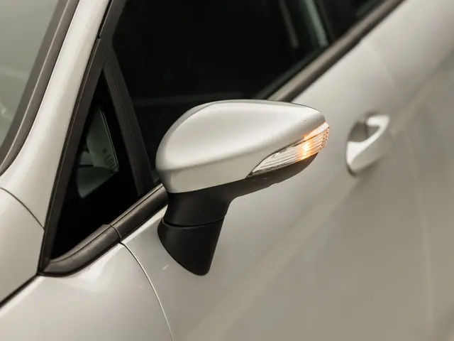 Ford Fiesta 1.0 Sport 2016 Benzine 31