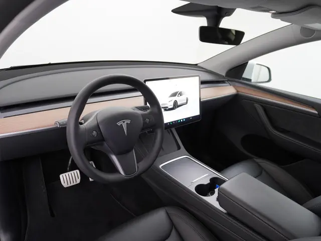 Tesla Model Y Performance AWD 75 kWh 2022 Elektrisch 16