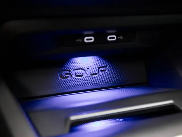 Volkswagen Golf 2.0 TSI GTI 2020 Benzine 32