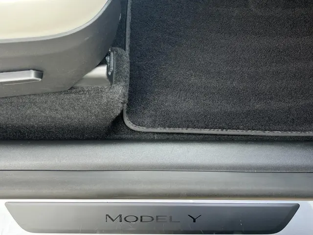 Tesla Model Y Long Range AWD 75 kWh 2023 Elektrisch 35