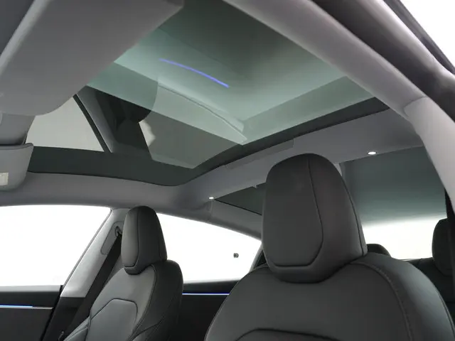 Tesla Model 3 RWD 60 kWh 2024 Elektrisch 20