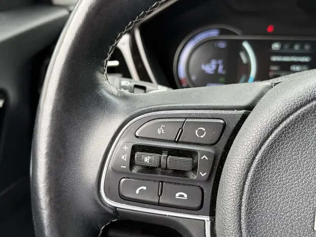 Kia e-Niro Edition 64 kWh 2021 Elektrisch 38