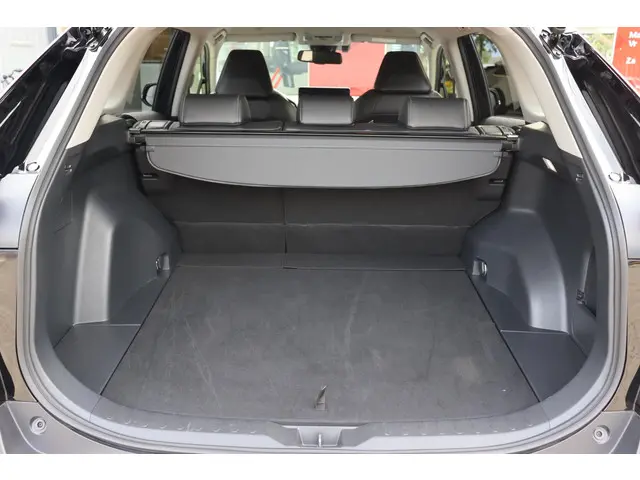 Toyota RAV4 2.0 VVT-iE Dynamic, Trekhaak 2024 Benzine 16