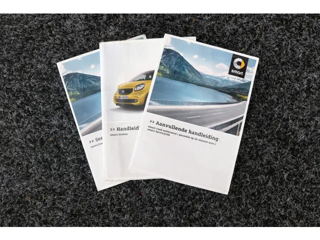 Smart Forfour 1.0 Business Solution 2018 Benzine 24