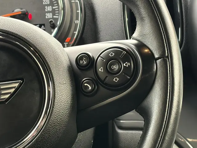 MINI Countryman Mini 1.5 Cooper Chili 2020 Benzine 31