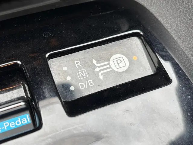 Nissan Leaf N-Connecta 40 kWh 2021 Elektrisch 18