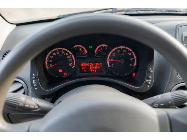 Fiat Panda 1.2 Emotion 2010 Benzine 14