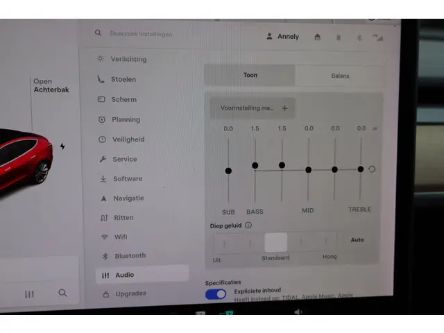 Tesla Model 3 Long Range AWD 75 kWh 2019 Elektrisch 43