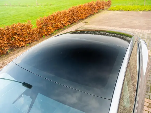 Tesla Model 3 RWD 60 kWh 2024 Elektrisch 53