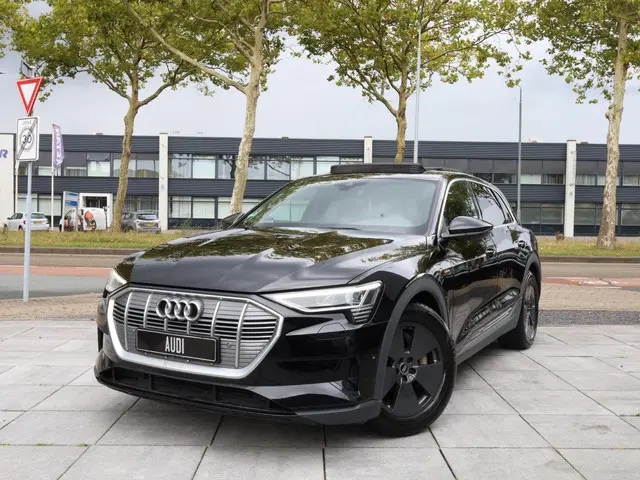 Audi e-tron 55 quattro 95 kWh 2022 Elektrisch