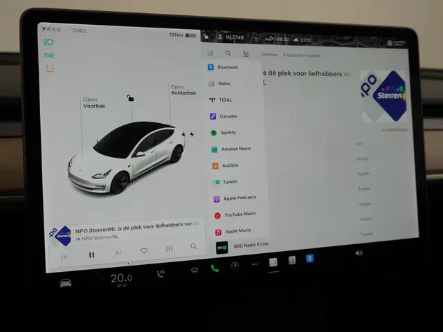 Tesla Model 3 Standard RWD Plus 60 kWh 2021 Elektrisch 34