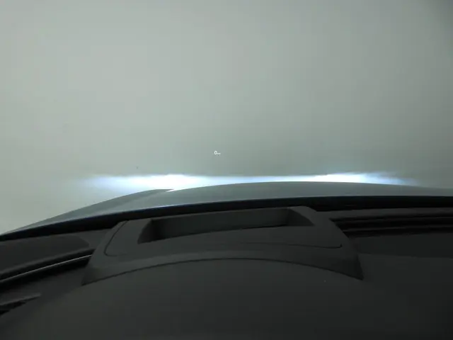 Audi RS6 4.0 TFSI RS 6 quattro perfomance 2016 Benzine 41