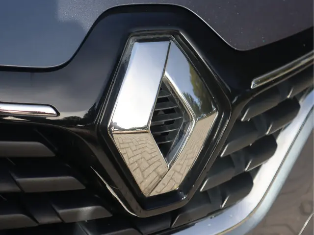 Renault Kadjar 1.2 TCe 2017 Benzine 51