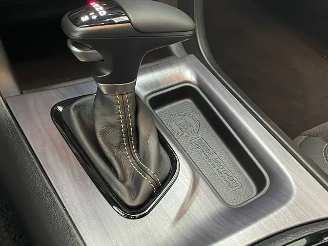 Dodge Charger SRT Scatpack Swinger WB 2024 Benzine 19
