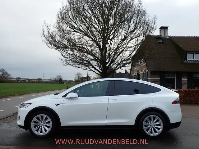 Tesla Model X 75D 2017 Elektrisch 6
