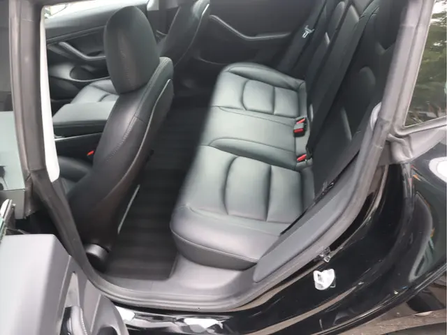 Tesla Model 3 Standard RWD Plus 60 kWh 2020 Elektrisch