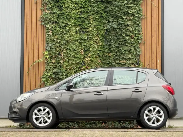 Opel Corsa 1.4 Cosmo|AIRCO|SCHERM|CRUSE 2015 Benzine 4