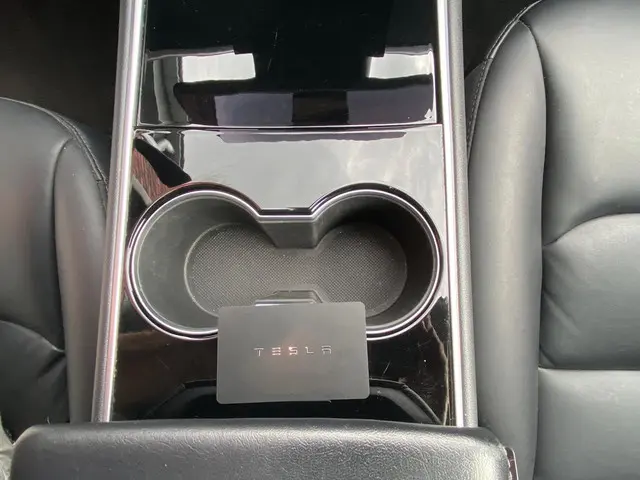 Tesla Model 3 Standard RWD Plus 60 kWh 2020 Elektrisch 16