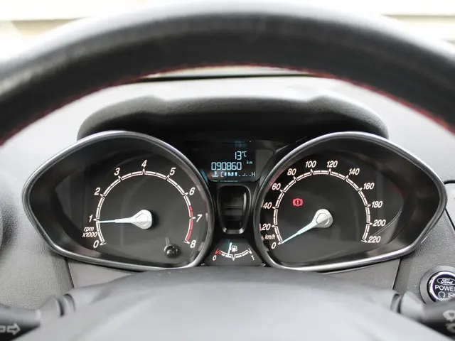 Ford Fiesta 1.0 EcoBoost Black Edition 2015 Benzine 24