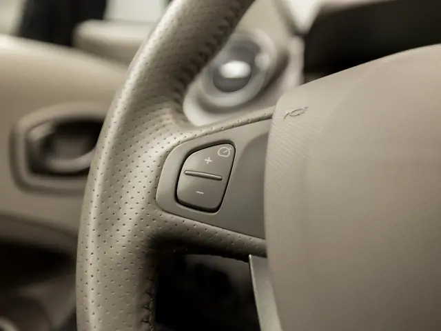 Renault ZOE R90 Bose Luxury 41 kWh 2019 Elektrisch