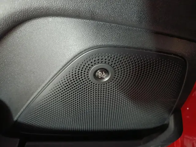 Ford Fiesta 1.0 EcoBoost Hybrid ST-Line X 2020 Benzine 25