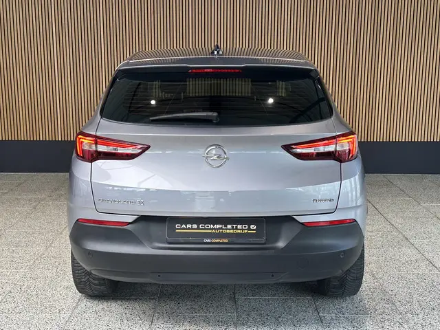Opel Grandland X 1.2 Turbo Business + 2019 Benzine 6