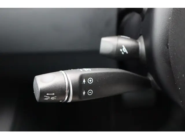 Tesla Model S Performance 2020 Elektrisch 25