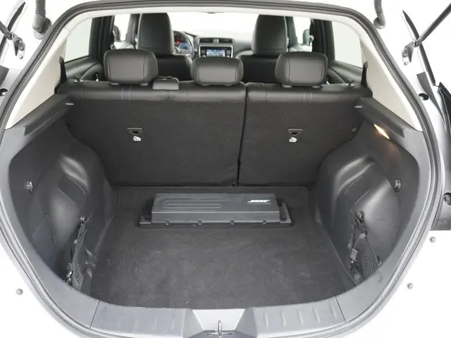Nissan Leaf Tekna 40 kWh 2019 Elektrisch 13