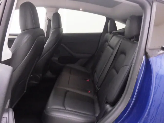 Tesla Model Y Long Range AWD 75 kWh 2021 Elektrisch 8