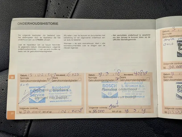 DS DS 3 1.2 PureTech Inès de la Fressange 2016 Benzine 24