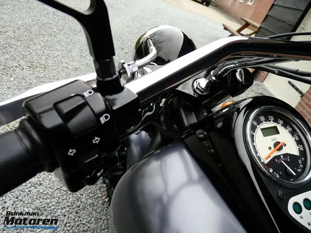 Kawasaki VN 900 Custom 2013 Benzine 29