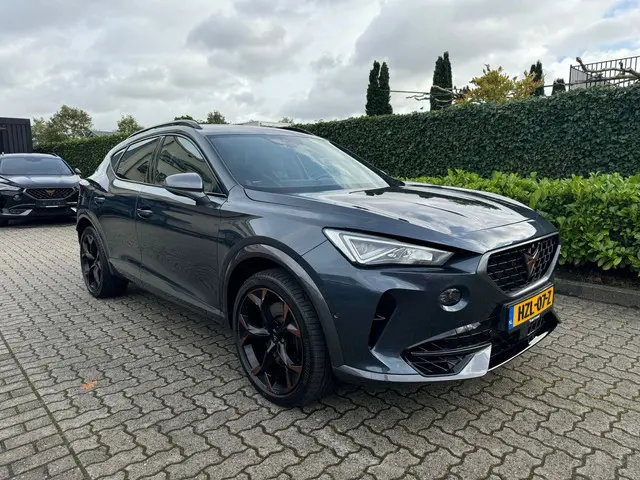 CUPRA Formentor 2.0 TSI 4DRIVE 2022 Benzine 22