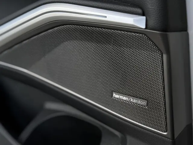 BMW 3 Serie Touring 320d High Executive 2020 Diesel 21