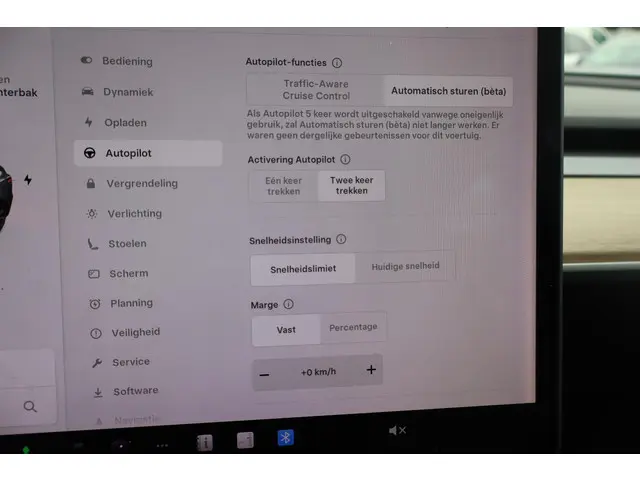 Tesla Model 3 Performance AWD 75 kWh 2019 Elektrisch 30