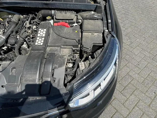 Renault Mégane Estate 1.3 TCe Business Zen 2021 Benzine 12