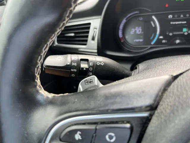 Kia e-Niro ExecutiveLine 64 kWh 2019 Elektrisch 41