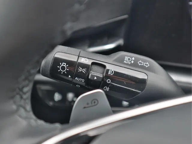 Kia Niro EV DynamicLine 64.8 kWh 2022 Elektrisch 11