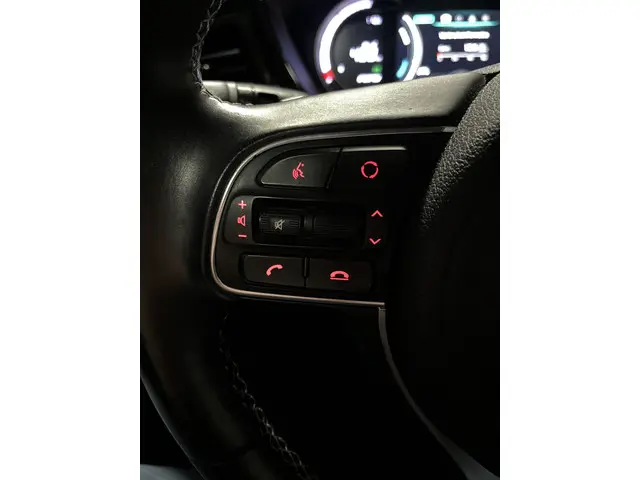 Kia e-Niro DynamicPlusLine 64 kWh 2021 Elektrisch 25